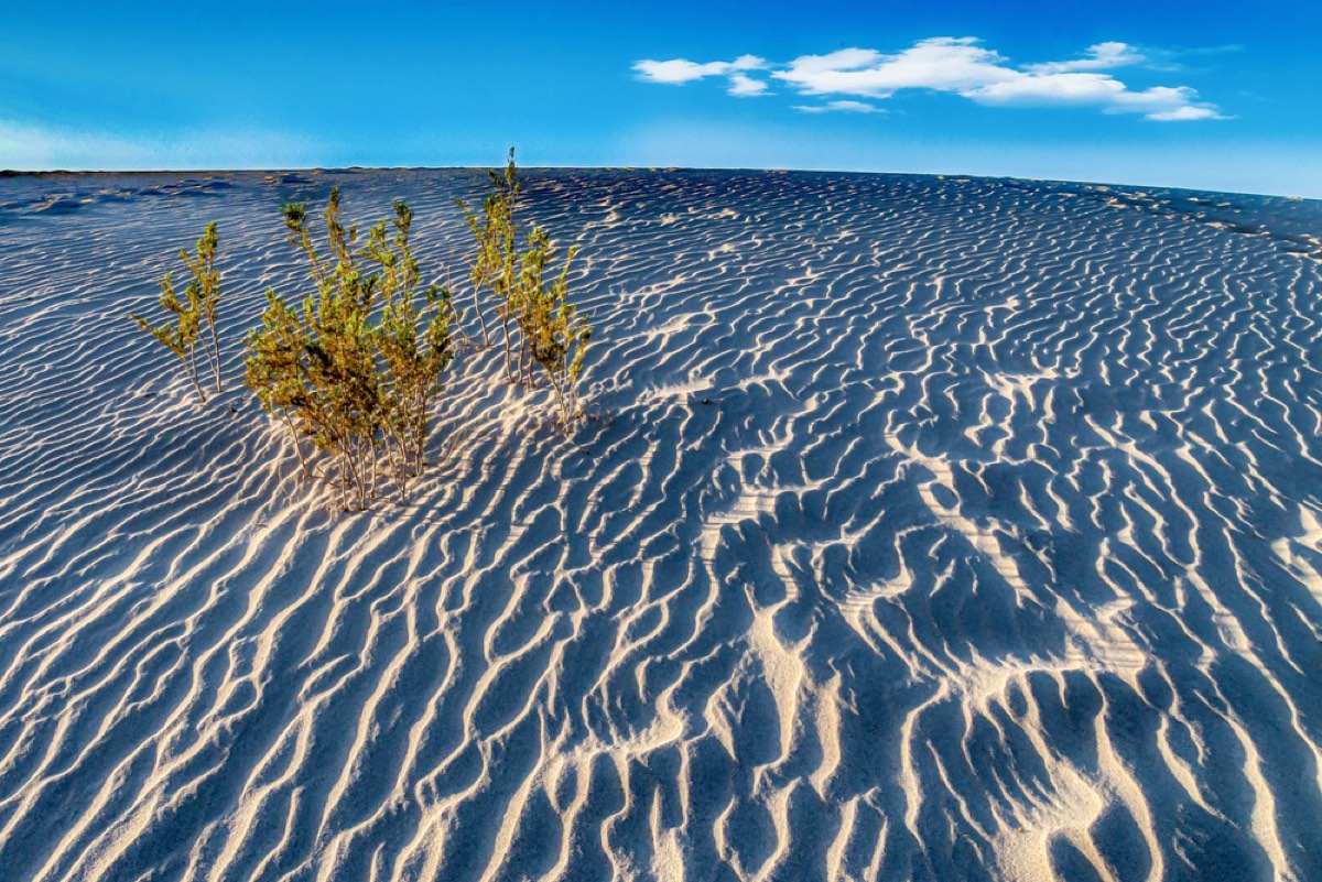 Expérience désert et nuit bédouine